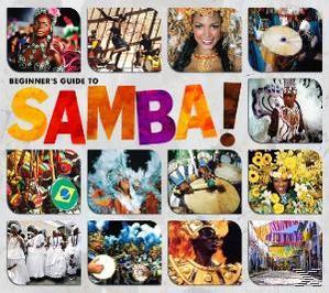 Beginner's Guide To Samba large 