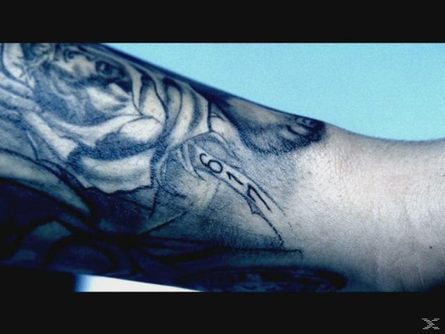 prison break staffel 1 online prison break staffel 1 online
