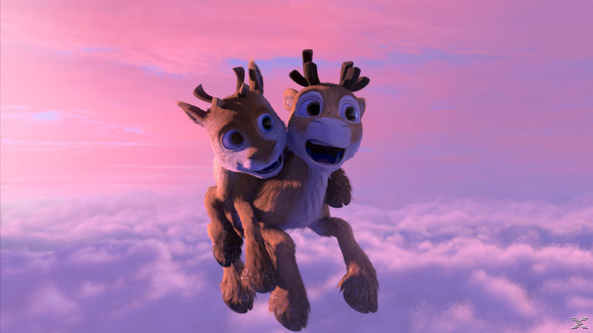 NIKO-EIN RENTIER HEBT AB/NIKO 2-KLEINES RENTIER DVD kaufen | SATURN